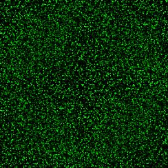 Блестки Green 0.1 mm, 1 кг